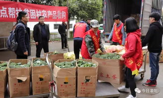 桂林理工大学定点收购灌阳县贫困村农产品 打通消费扶贫最后一公里