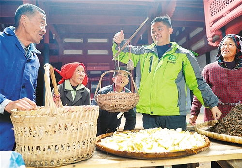 「村播王新年」的丰收年 东乡“网红”助农增收路径探析