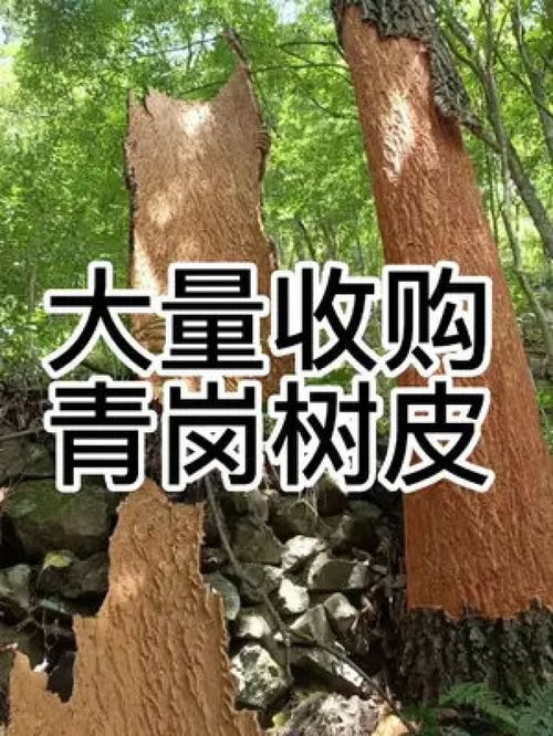 真实有效的农产品收购 助力三农与优质农产品的双向奔赴